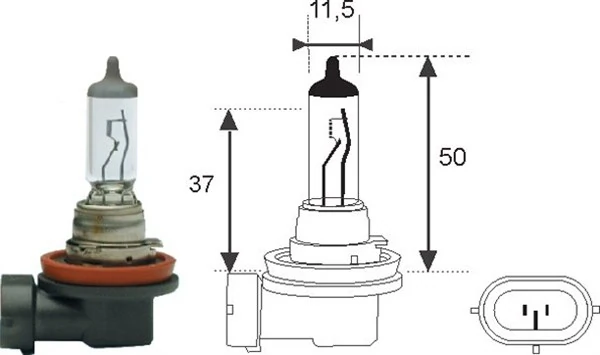 Bulb, spotlight